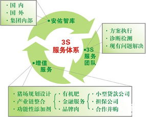 安佑集团开辟养猪网络技术服务专区 数字化赋能养殖业新篇章